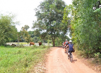 Cu Chi Tunnel cycling tour 1 day